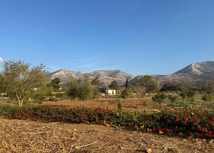 Fyroa Holiday home *